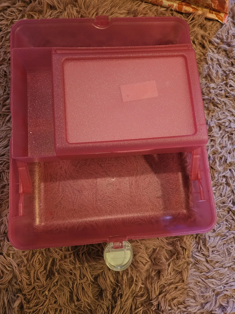 Pink✨️Glitter Cosmetic Case with Colorful Logo
